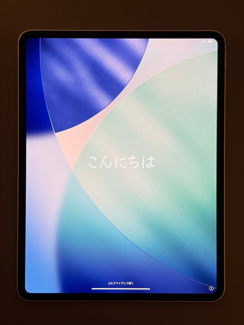 Apple 13インチ iPad Pro (M4) 256GB MVX33J/A
