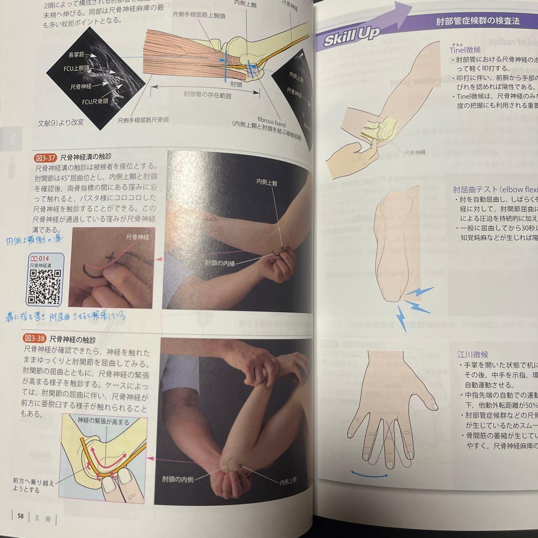 機能解剖学的触診技術 上下肢・体幹 理学療法テキスト 日常生活活動学 3冊セット