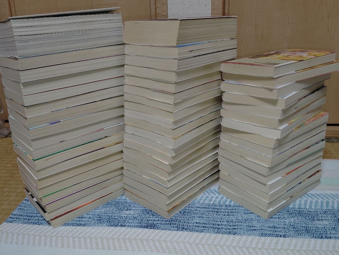 茅田砂胡　デルフォニア戦記等　小説54冊