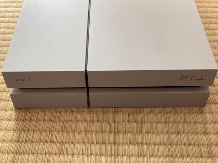 本体