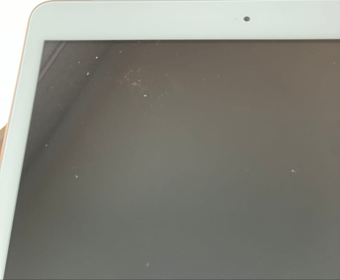 【即購入OK】iPad 第8世代 セルラーモデル【極美品】 #116 【付属品】