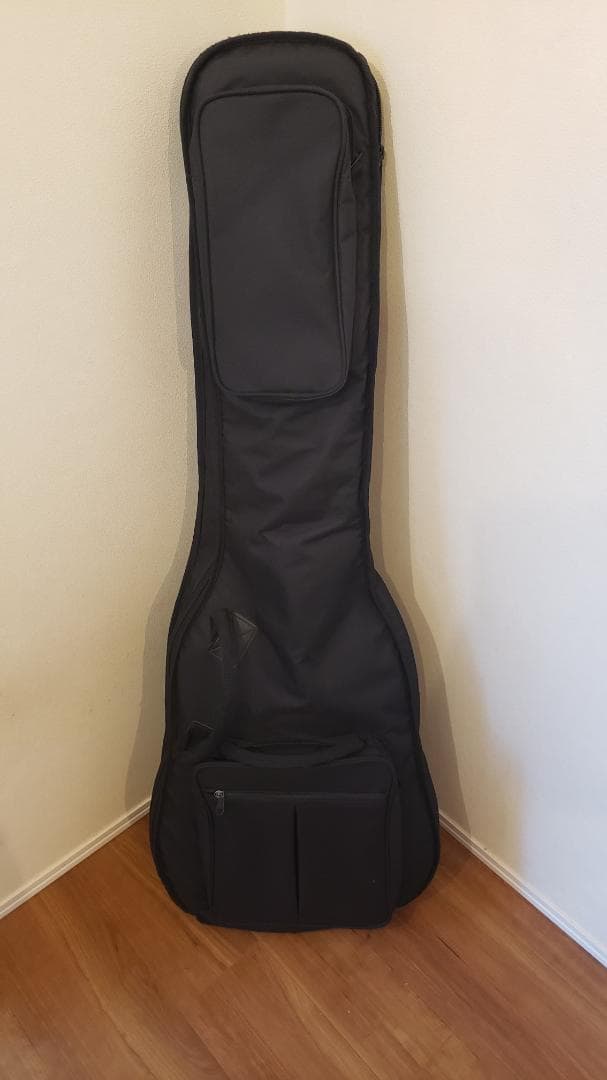 Epiphone エピフォン Allen Woody Rumblekat