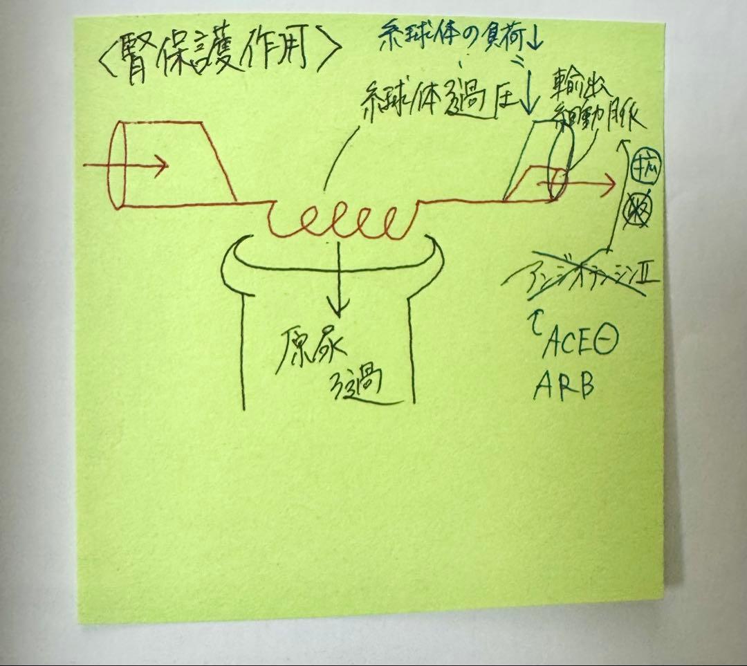 第110回薬剤師国家試験対策 弱点克服問題集 白問 全巻セット