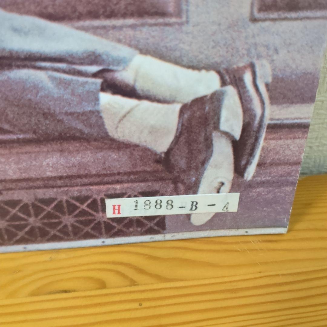 幻想の摩天楼 STEELY DAN スティーリーダン レコード VIM-4040