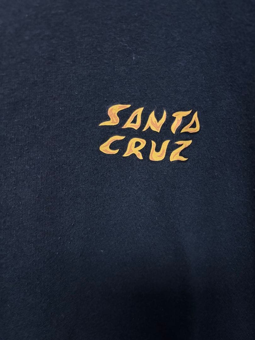 【希少】SANTA CRUZ サンタクルーズ サルバタイガー Tシャツ M 黒