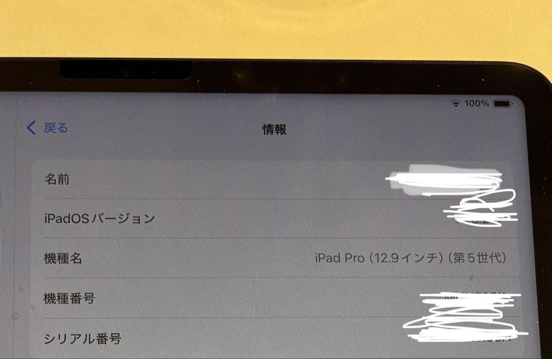 【容量100%】美品iPad Pro 第5 128GB Wi-Fi 【箱あり】