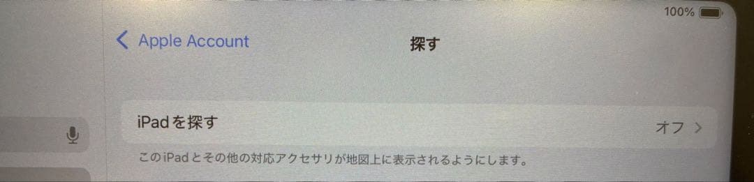 【容量100%】美品iPad Pro 第5 128GB Wi-Fi 【箱あり】