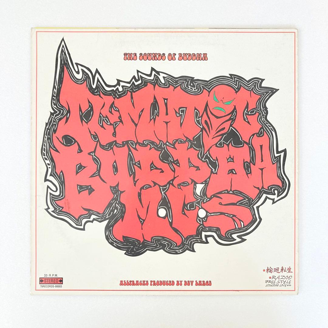 激レア レコード BUDDHA BRAND ブッダの休日 ブッダブランド