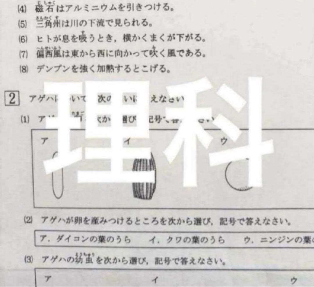 浜学園　小6 最新版　2025年　公開学力テスト4科目　国語、算数、理科、社会、