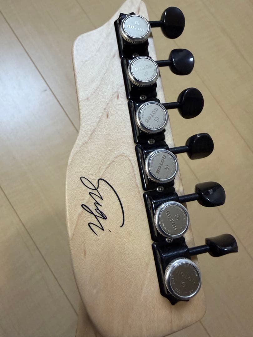 saito guitars JMC-SG coldrain シリアルNo.001
