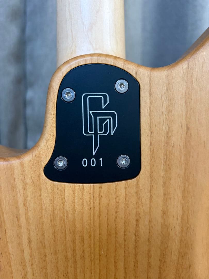 saito guitars JMC-SG coldrain シリアルNo.001