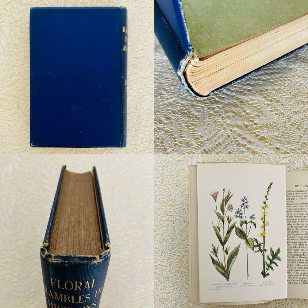洋書　古書　アンティーク植物図鑑　淡く美しいイラスト♡　ボタニカルアート