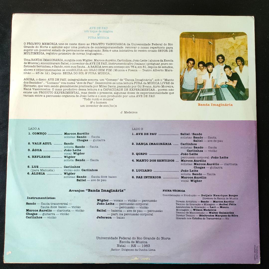 BANDA IMAGINARIA　AVE DE PAU　レコード　Latin
