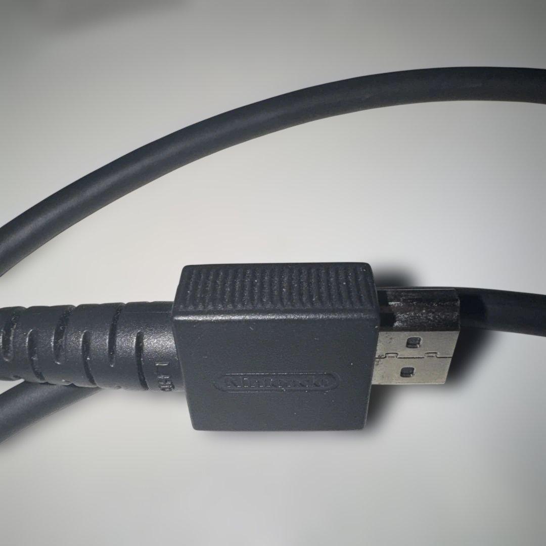 ニンテンドーSwitch【付属品完備、箱無し】
