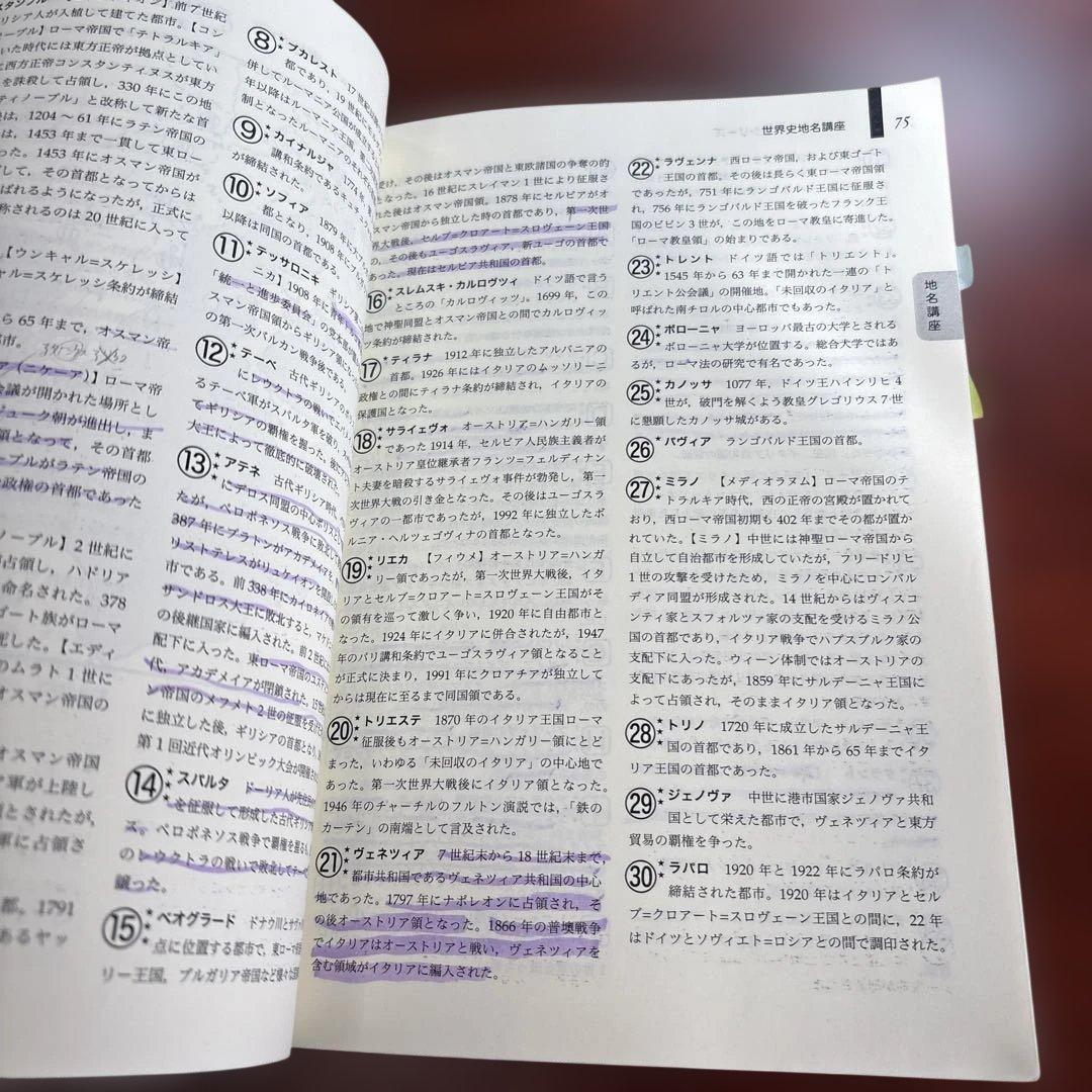 鉄緑会　入試世界史確認シリーズ
