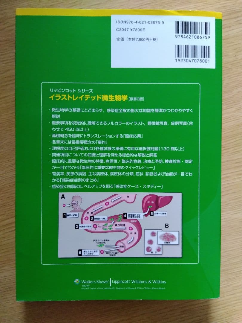 イラストレイテッド微生物学　原書3版　リッピンコットシリーズ　丸善出版