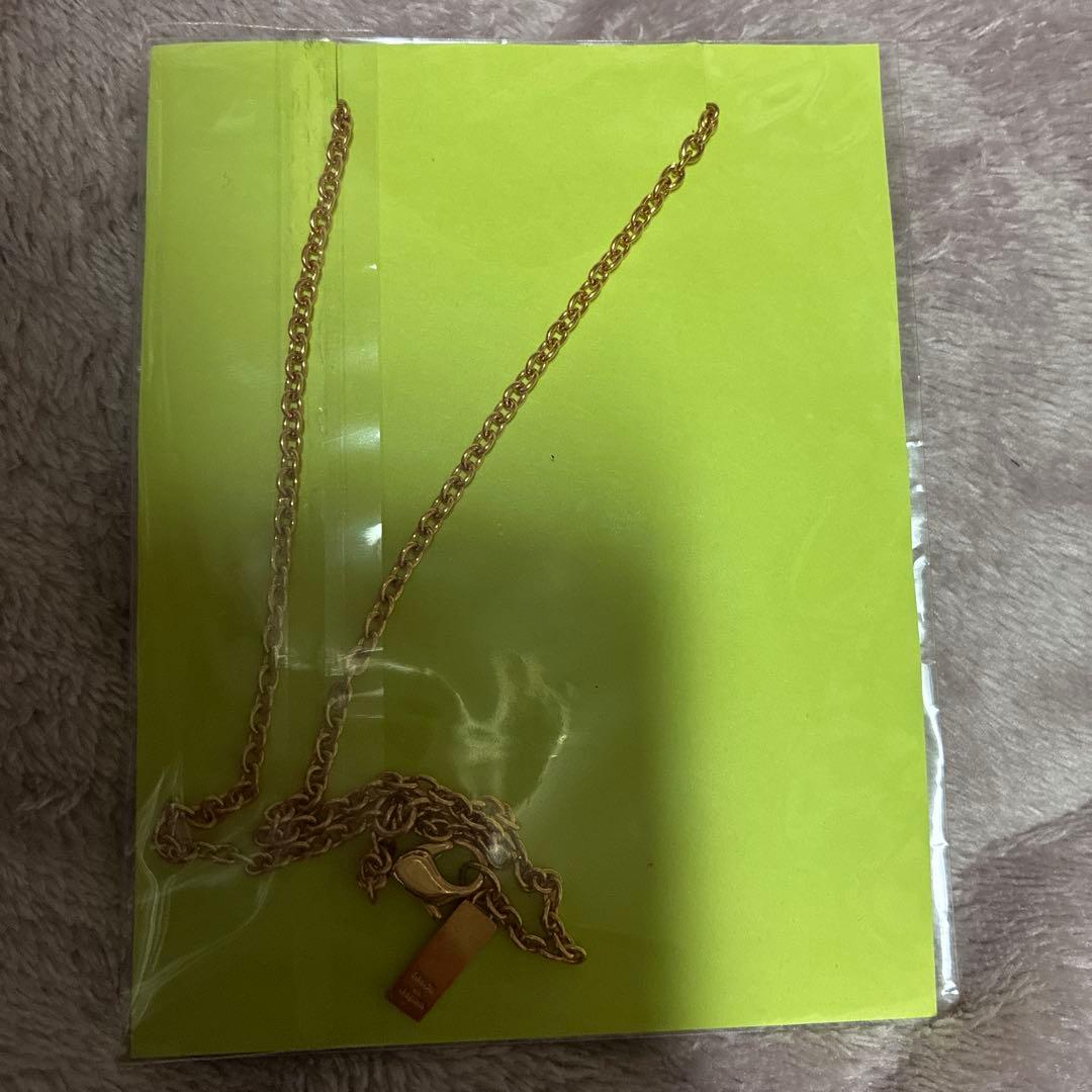 廃盤 東城りお LIVERTINEAGE リバティーンエイジ ネックレス