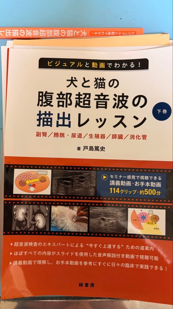 犬と猫の腹部超音波の描出レッスン 戸島下巻セミナー感覚で視聴できる講義動画付き