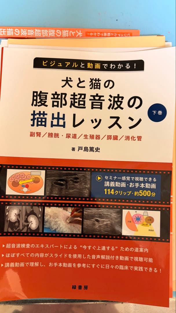 犬と猫の腹部超音波の描出レッスン 戸島下巻セミナー感覚で視聴できる講義動画付き