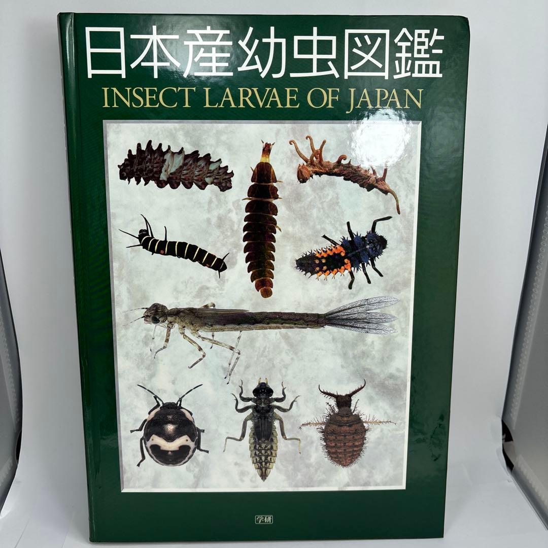 日本産幼虫図鑑
