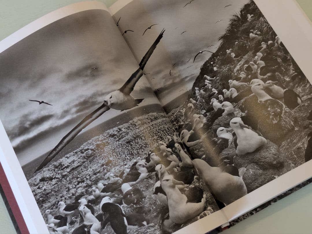 【新品】Sebastião Salgado Genesis サルガド ジェネシス