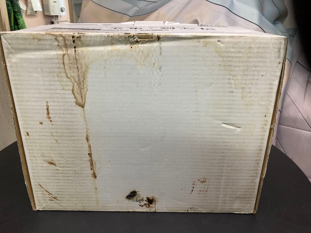 るろうに剣心　DVD BOX 全集・剣心伝