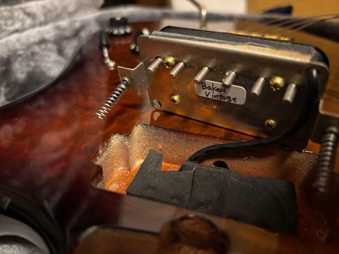 ギター Addictone Custom Guitars HSH