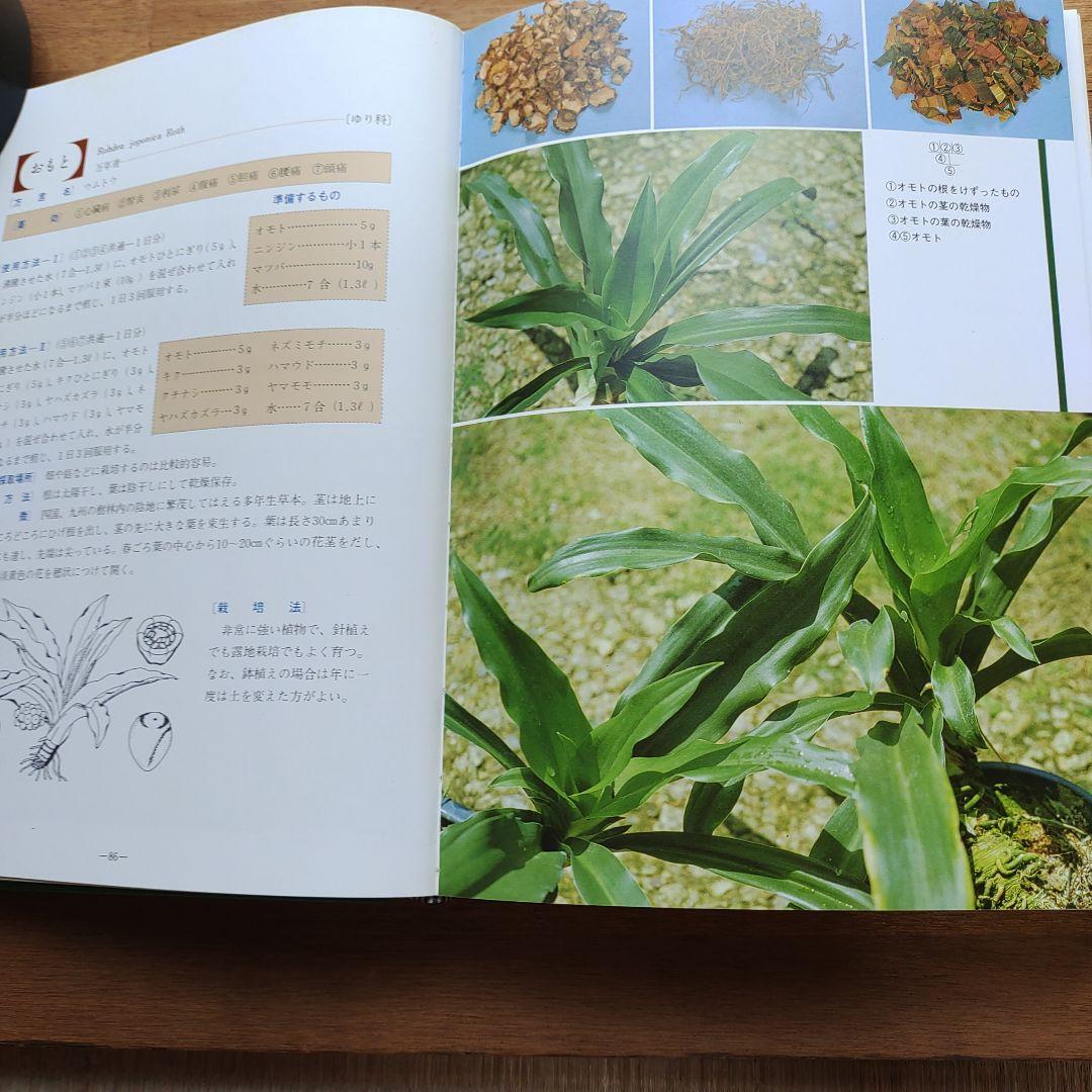 おきなわの薬草百科