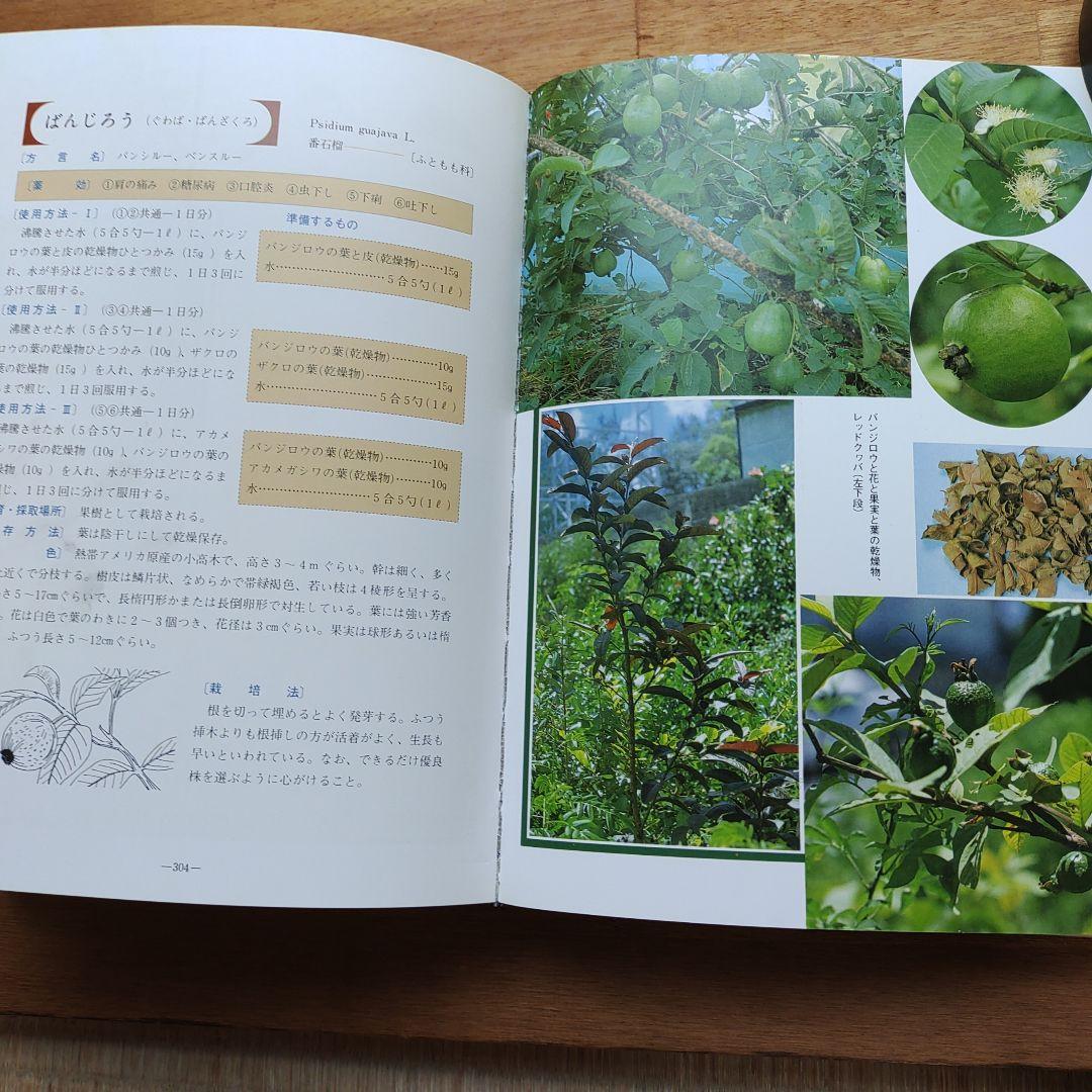 おきなわの薬草百科