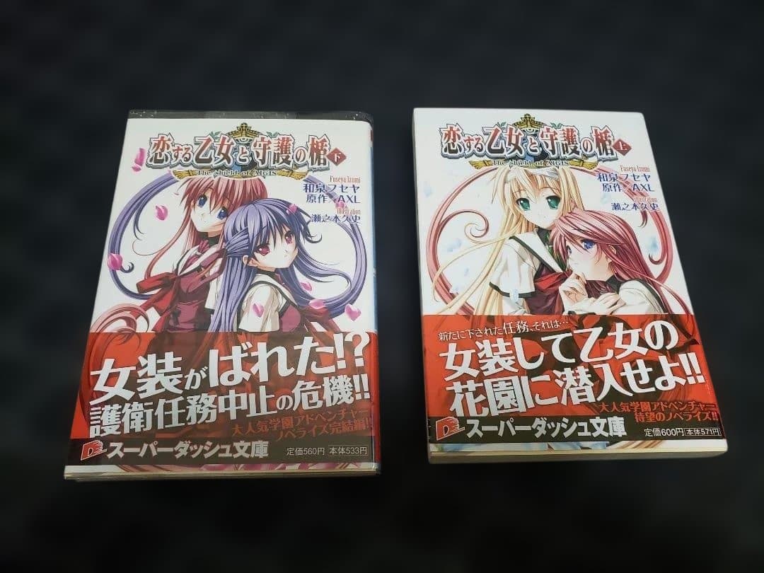 ★５００円クーポン利用ＯＫ★Ａ４サイズ・目安文庫本４冊・１０００円★全品は１万円