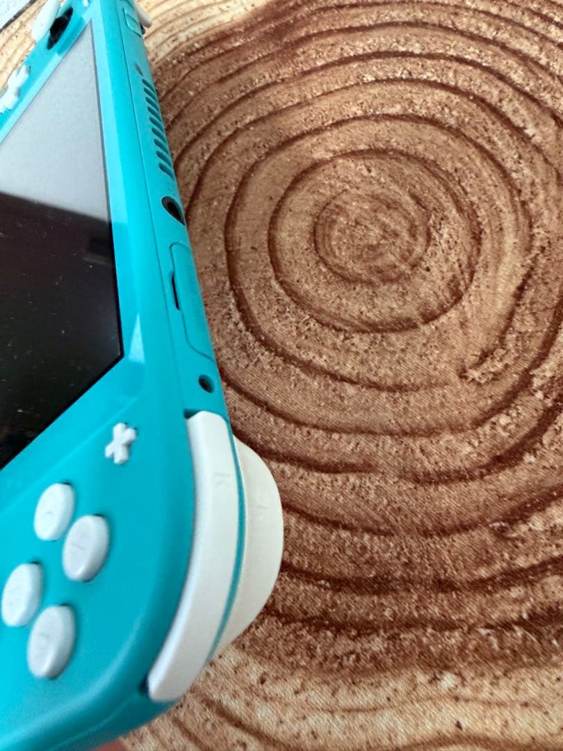 Nintendo Switch Lite ターコイズ本体のみ　箱無し