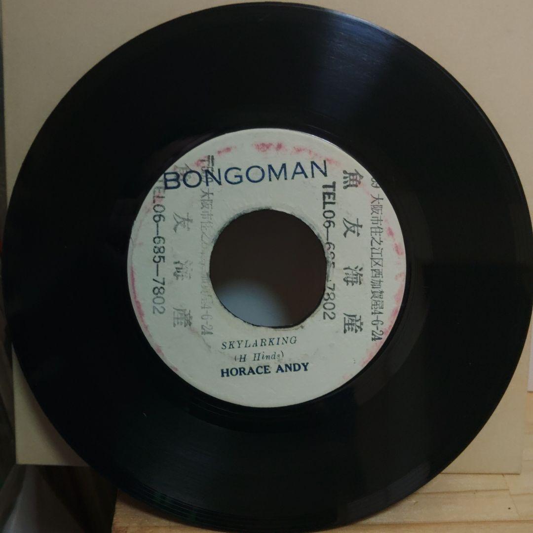 洋楽 HORACE ANDY/ SKYLARKING