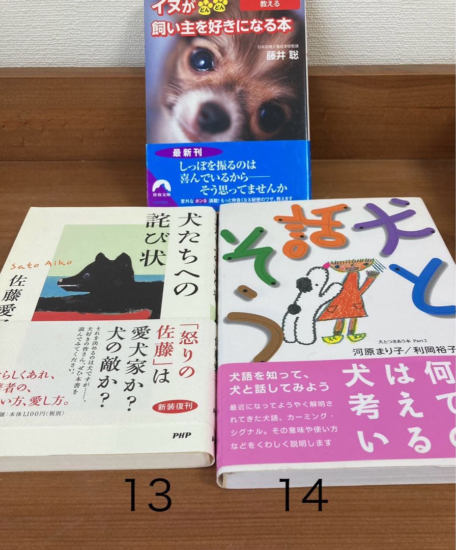 かをりんさまおまとめ　ミュージカル　ライオンキング　プログラム