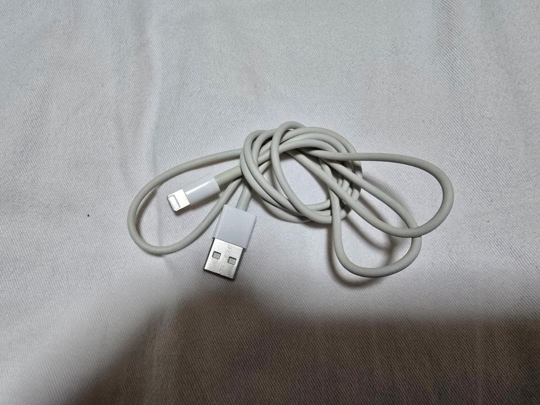 iPad (第7世代) ApplePencil付 Cellularモデルシルバー