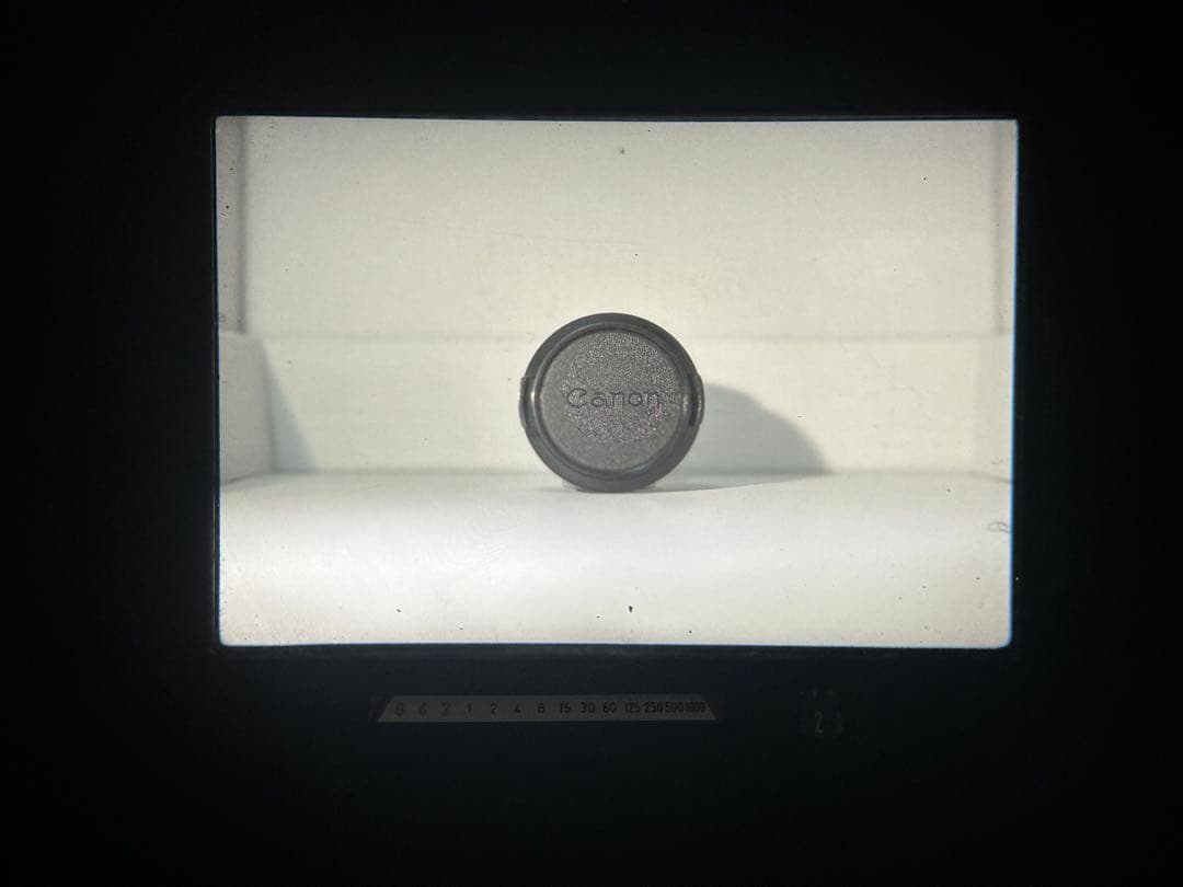 Canon NewF-1 AEFinder MotorDrive フィルムカメラ