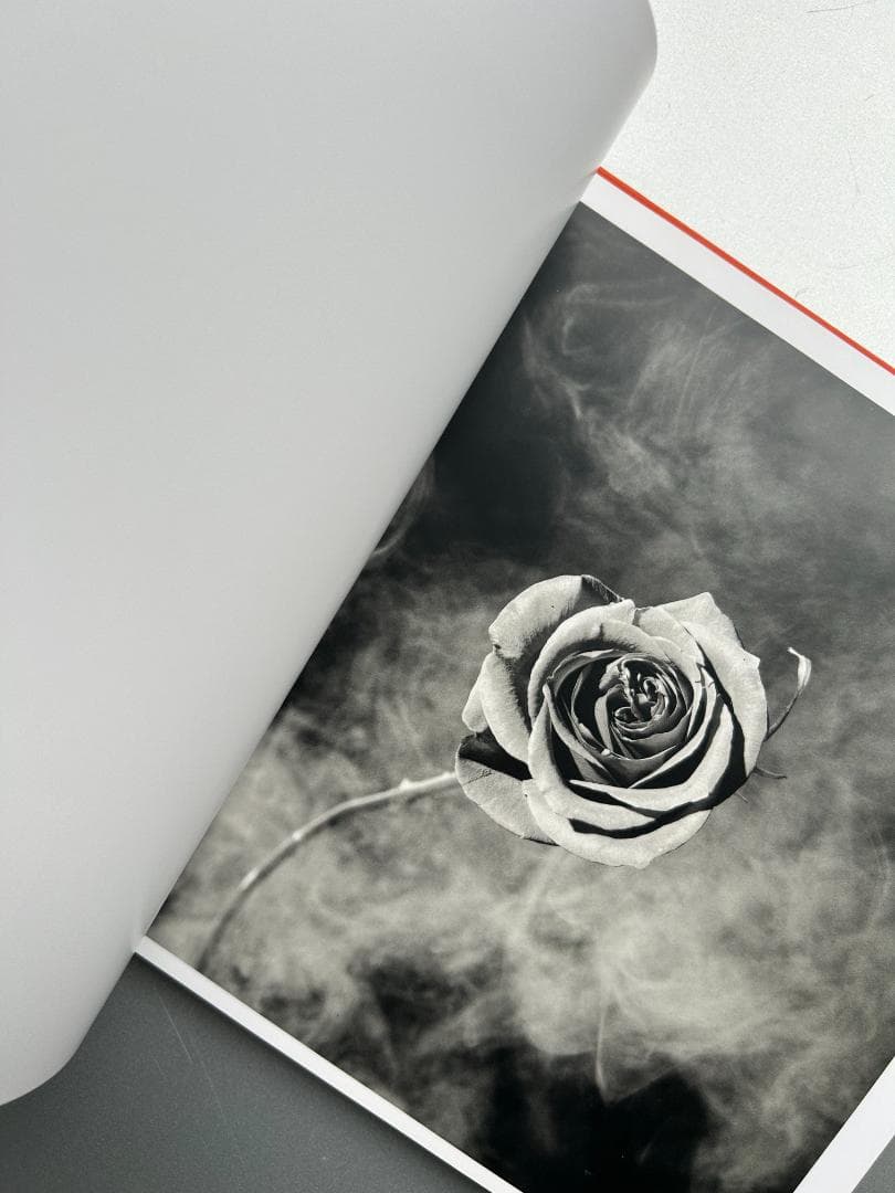 Mapplethorpe : The Complete Flowers 上田義彦
