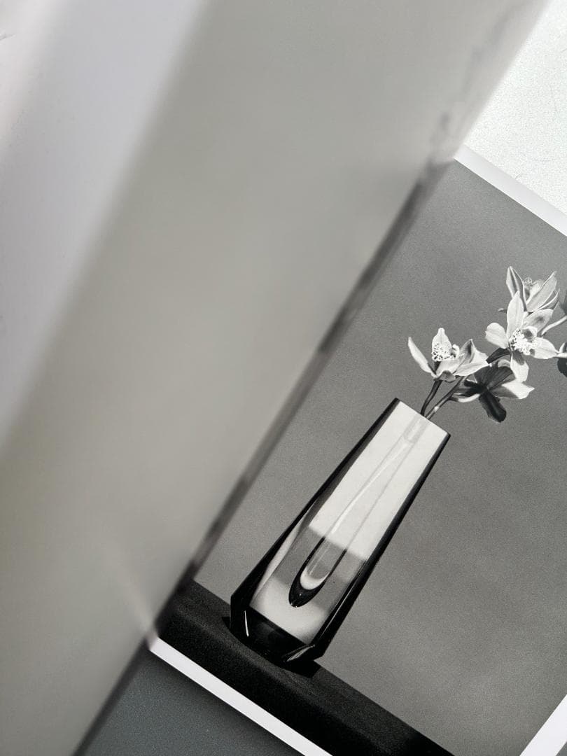 Mapplethorpe : The Complete Flowers 上田義彦