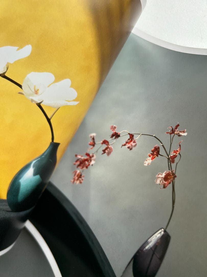 Mapplethorpe : The Complete Flowers 上田義彦