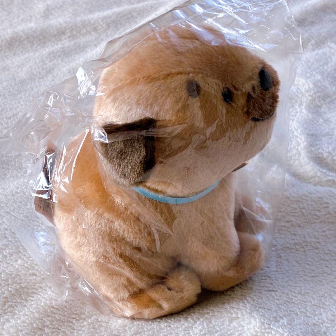 【レア・再販未定品】ころわんぬいぐるみ サンアロー 黒井健
