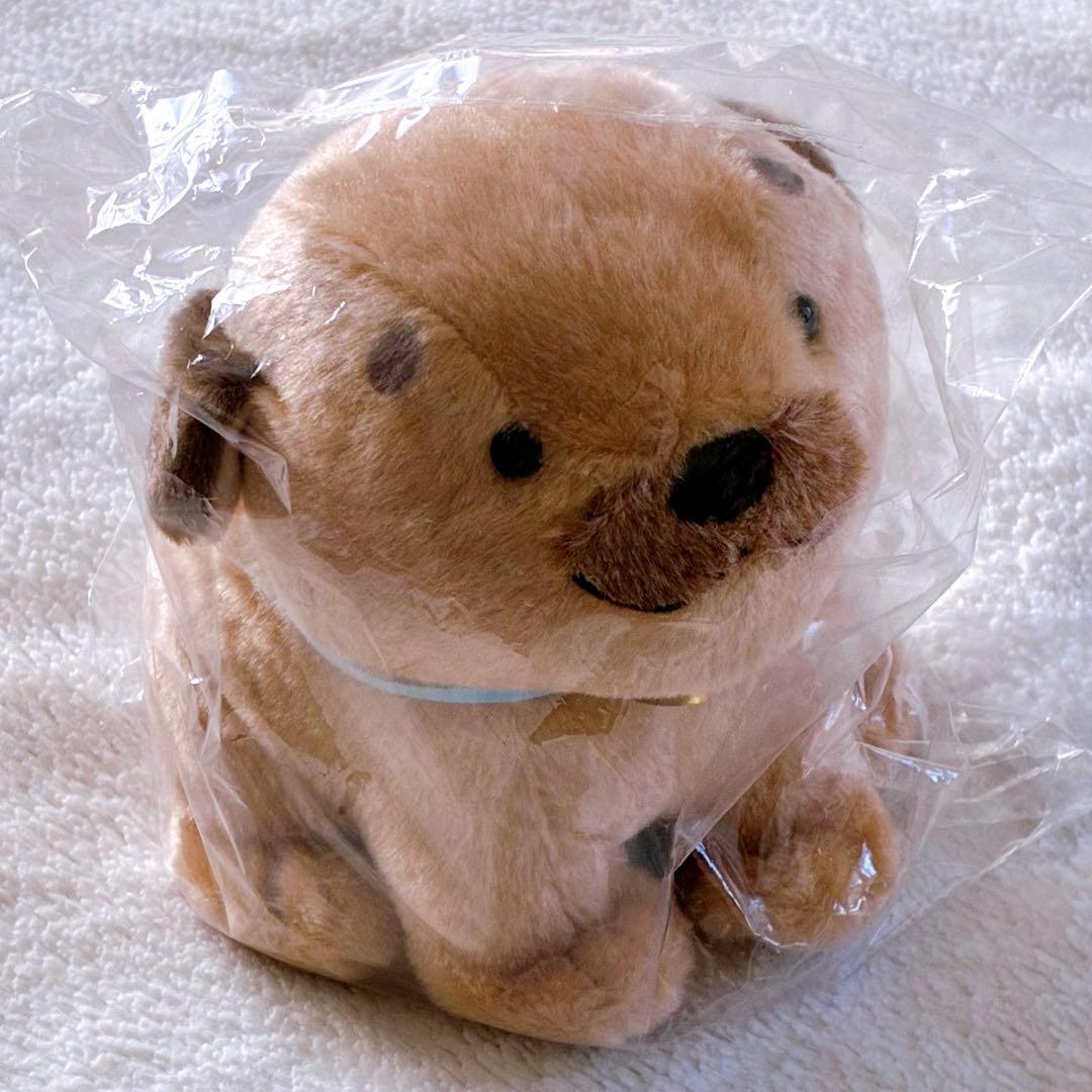 【レア・再販未定品】ころわんぬいぐるみ サンアロー 黒井健