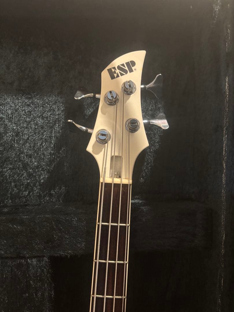 GazettE れいたモデル ESP RF-00SL