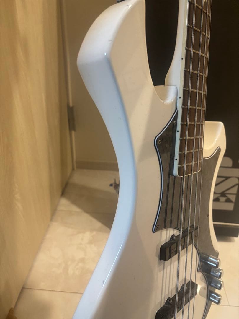 GazettE れいたモデル ESP RF-00SL