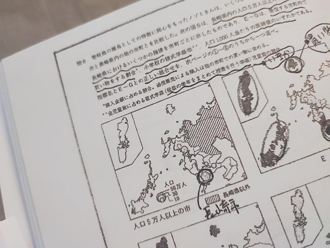 駿台　岡田先生　地理配布プリント　書き込み無し　河合塾　鉄緑会　SEG　東進