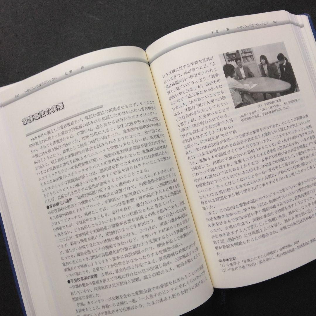 初版 心理臨床学事典 日本心理臨床学会 編 丸善 医療 教育 家族 文化 福祉