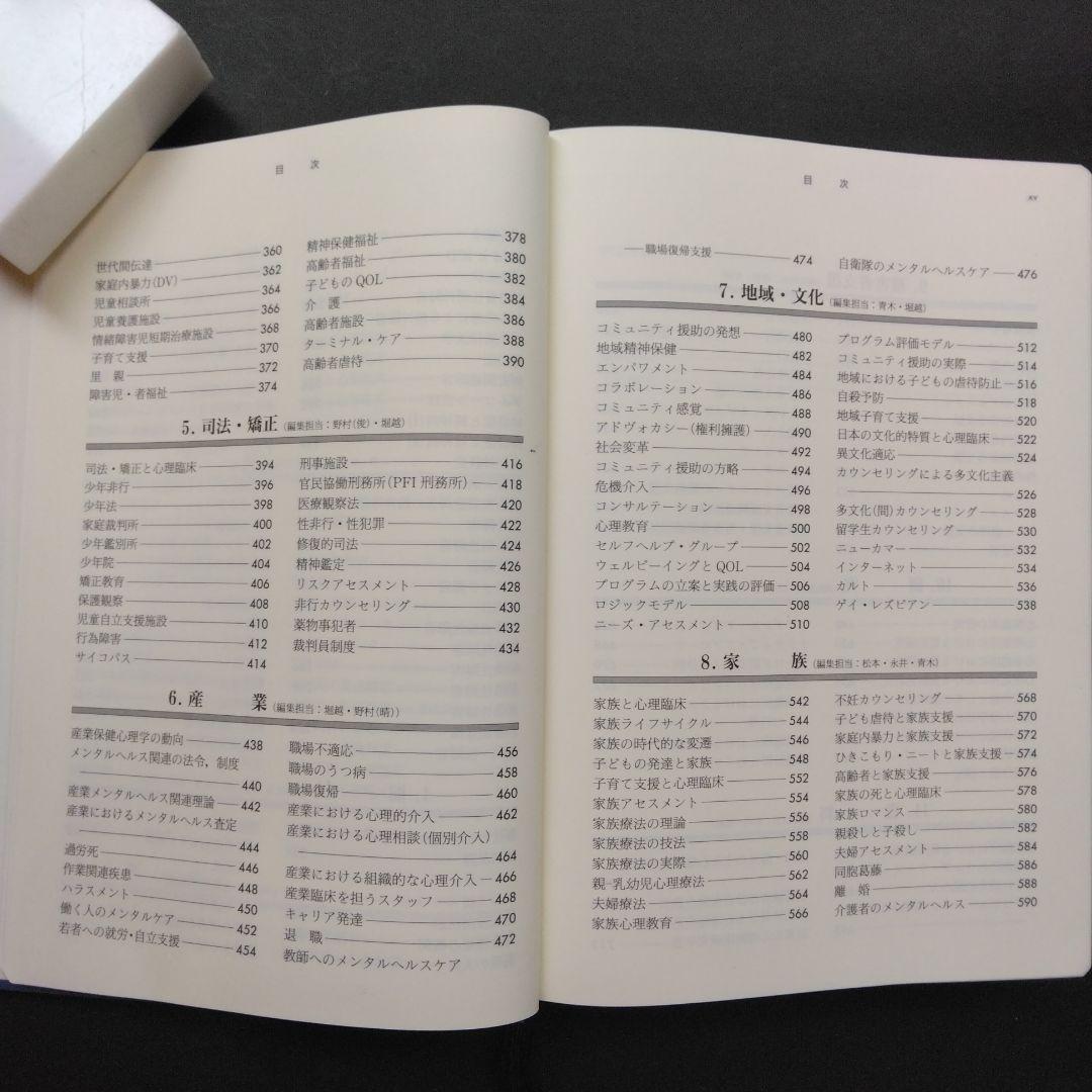 初版 心理臨床学事典 日本心理臨床学会 編 丸善 医療 教育 家族 文化 福祉