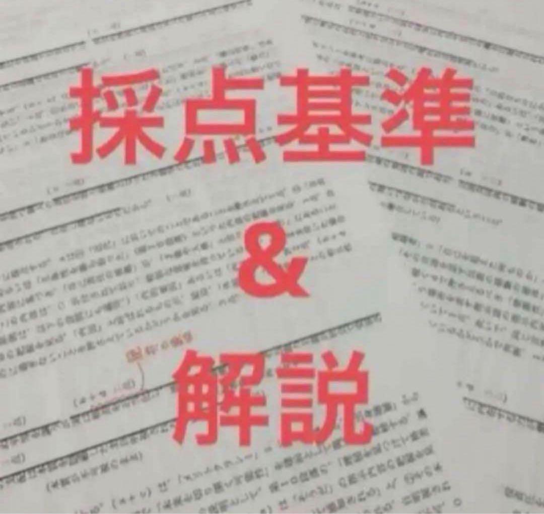 【特別】東大現代文1998年〜2022年 林修先生 解説プリント A4両面カラー