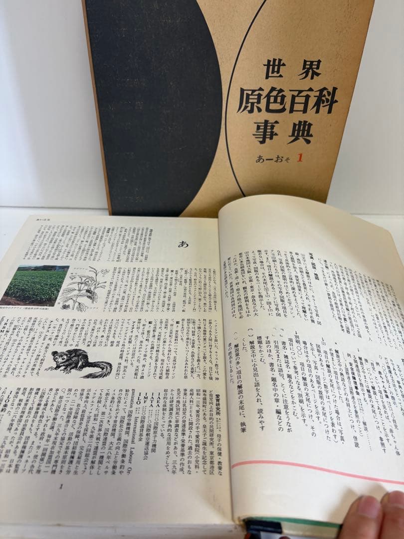 世界原色百科事典　8巻　小学館　古書