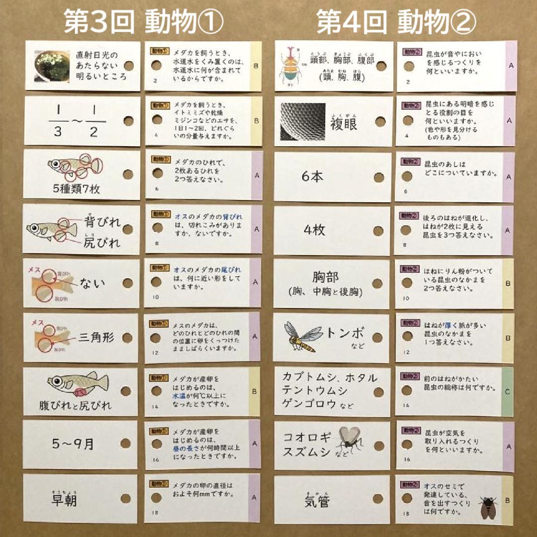 【中学受験】理科の基本事項 5・6年 暗記カード フルセットa