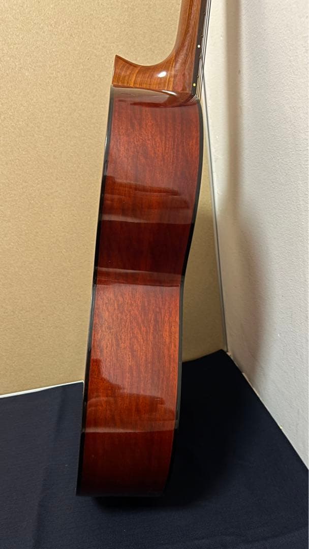 Acks ギター ソフトケース付き