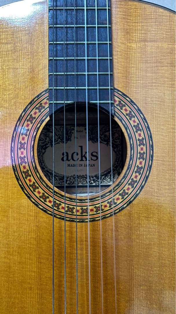 Acks ギター ソフトケース付き